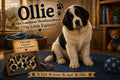 Ollie the Landseer Newfoundland: The Little Explorer (Electronic Copy)